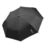 Folding Spray Umbrella